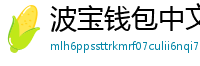 波宝钱包中文版下载